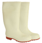 Bota Sanitaria